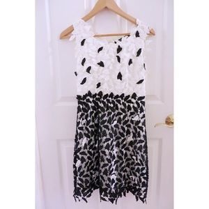 White and Black Shift Dress with Lace Overlay